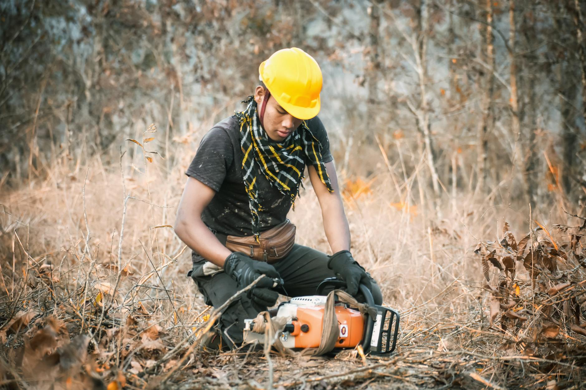Débroussaillage d'entretien en forêt pour prévention incendie