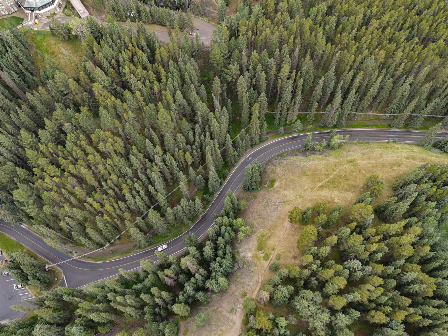 Vue aérienne de forêt pour la gestion forestière