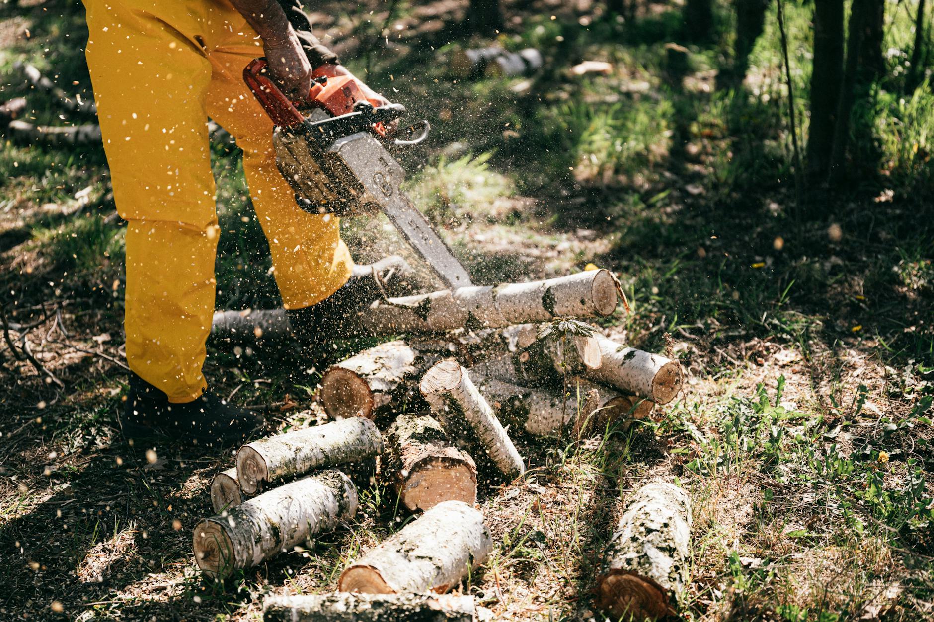 Professionnel forestier sur le terrain avec équipement numérique