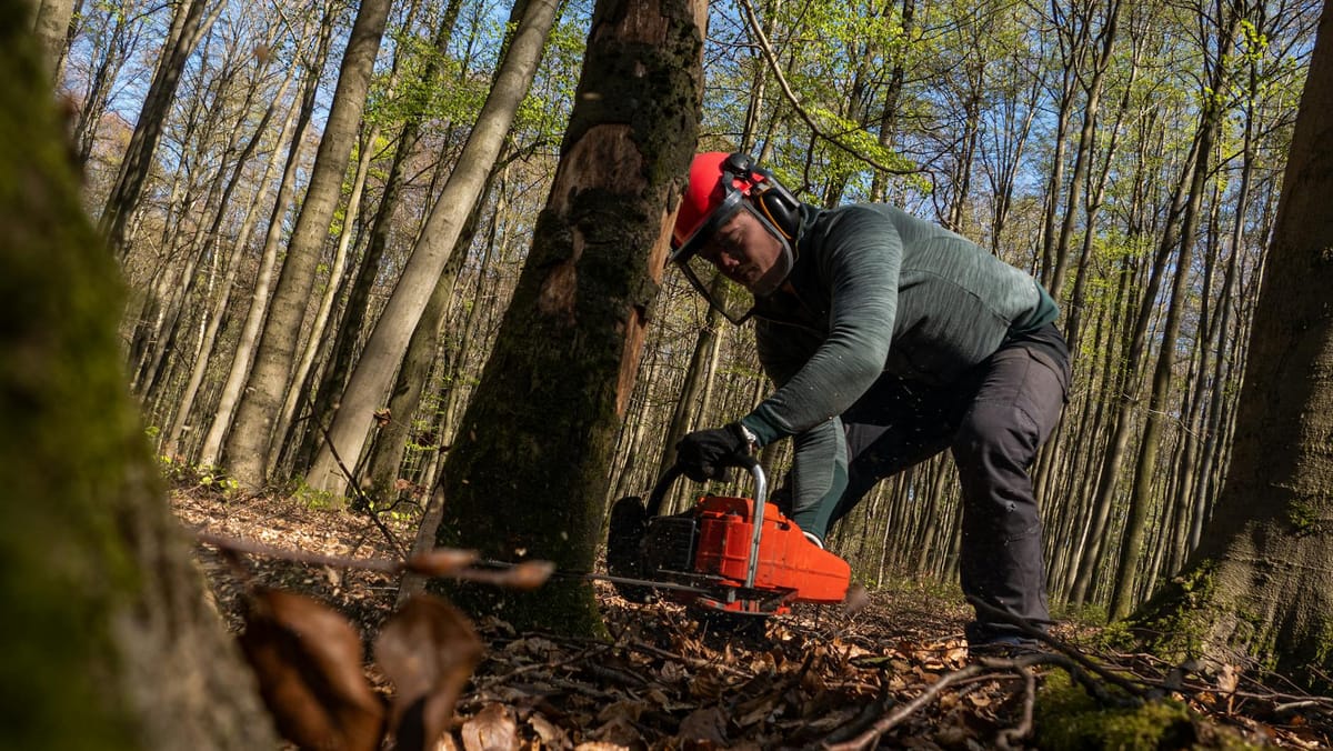 Propriétaire forestier réalisant un inventaire terrain pour son Plan Simple de Gestion