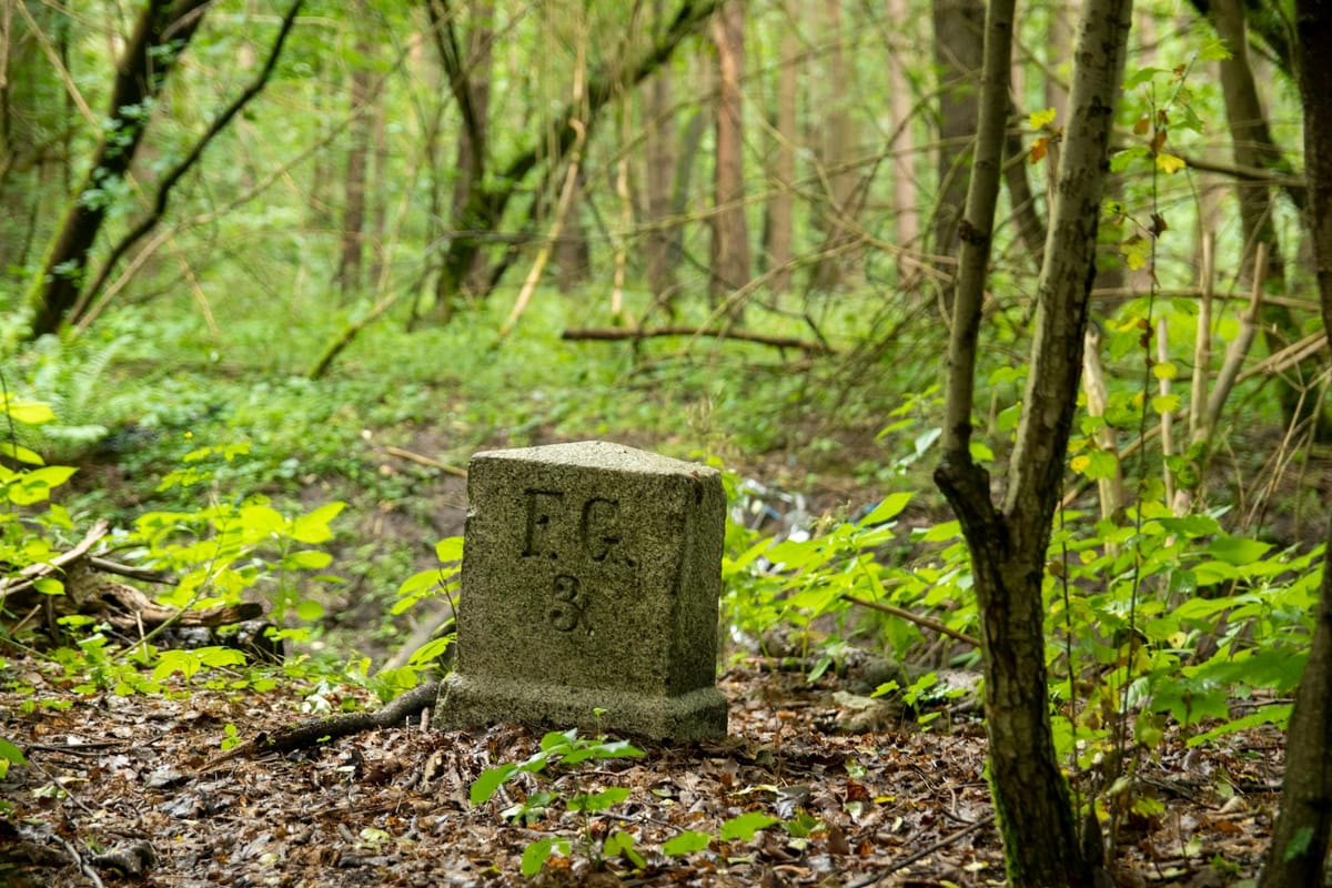 Retrouver ses parcelles forestières : guide cadastre + GPS terrain
