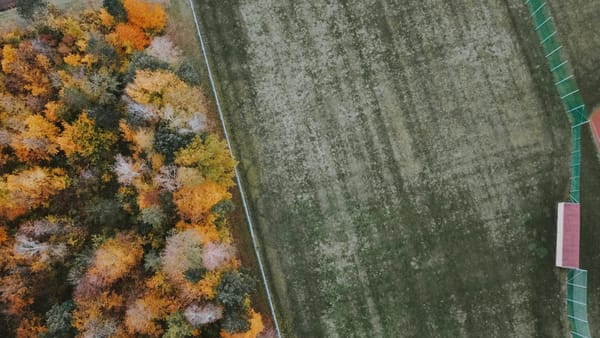 Vue aérienne de parcelles forestières avec limites cadastrales