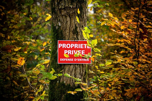 Forêt en automne, propriété forestière privée française — fiscalité et gestion
